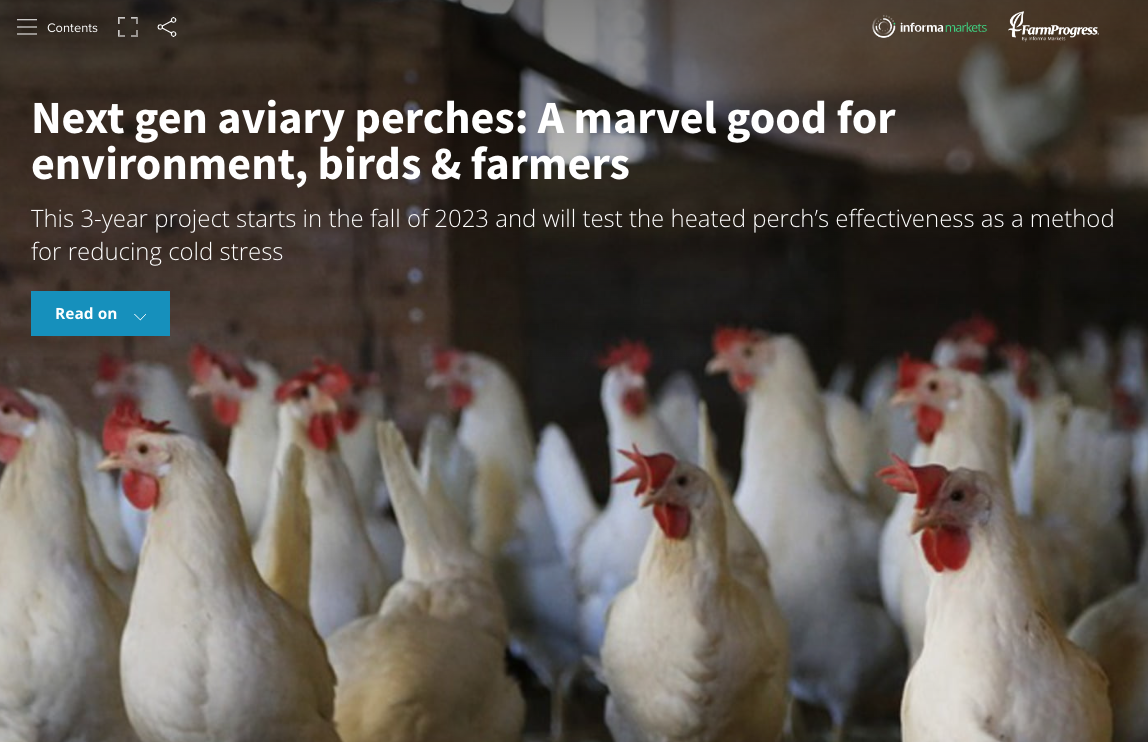 Feedstuffs story photo which has hens on floor looking at camera